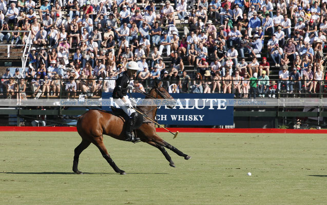 Polo Sport Argentina Photo228