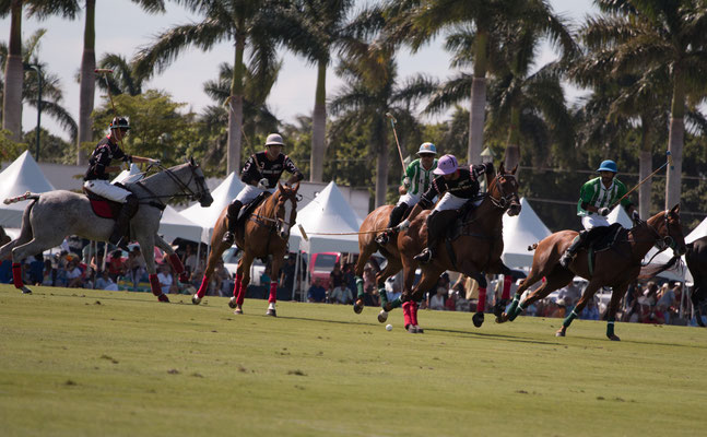 Polo Sport USA Photo5
