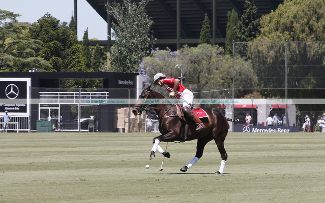 Polo Sport Argentina Photo191