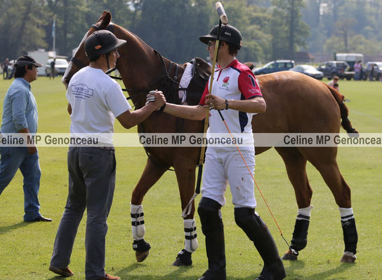 Polo Sport England Photo172