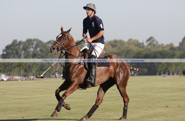 Polo Sport Argentina Photo278