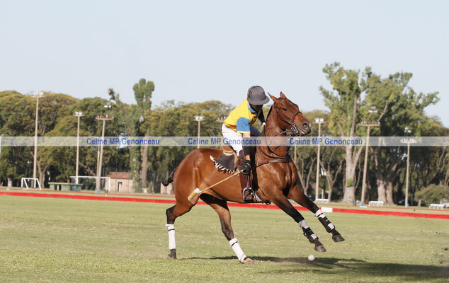 Polo Sport Argentina Photo517