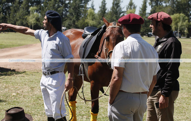 Polo Sport Argentina Photo597