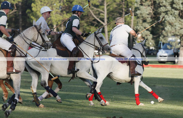 Polo Sport Argentina Photo575
