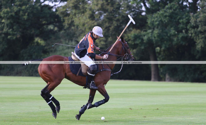 Polo Sport England Photo512