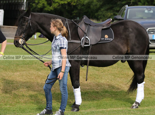 Polo Sport England Photo166