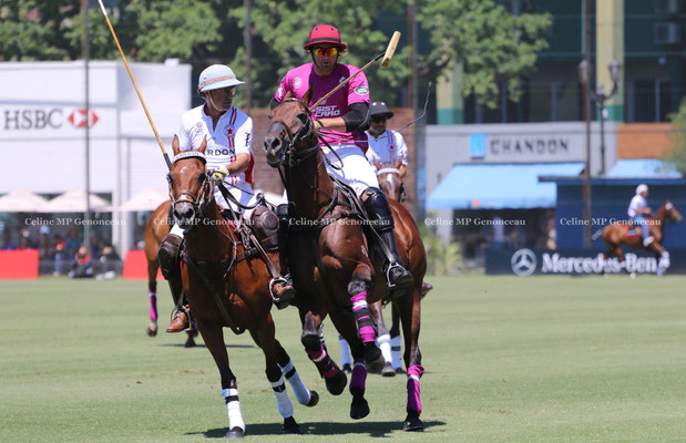 Polo Sport Argentina Photo11