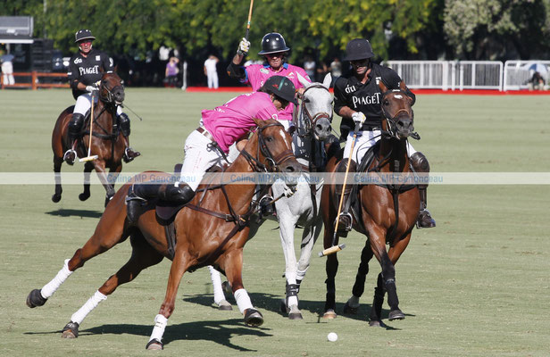 Polo Sport Argentina Photo231