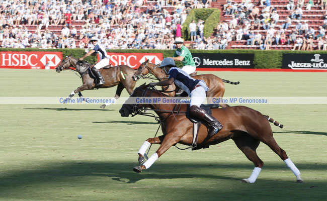 Polo Sport Argentina Photo137