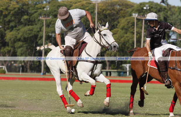 Polo Sport Argentina Photo486