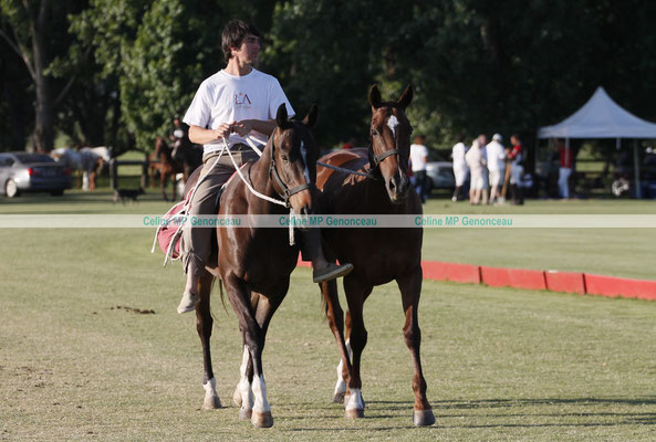 Polo Sport Argentina Photo332