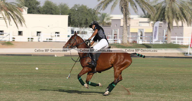 Polo Sport Dubai Photo223