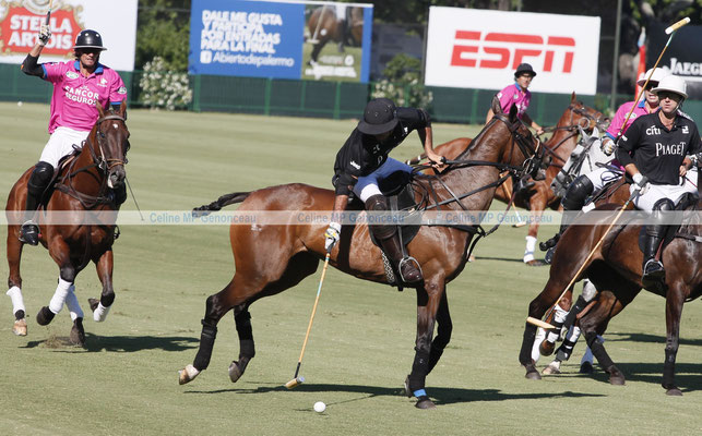 Polo Sport Argentina Photo218