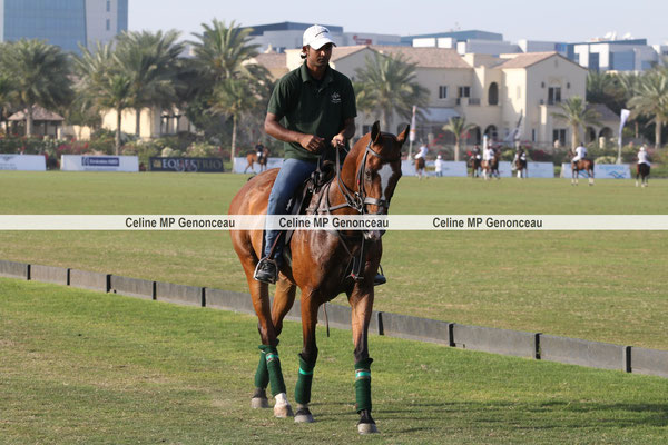 Polo Sport Dubai Photo231