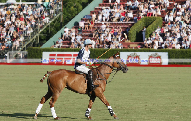 Polo Sport Argentina Photo154