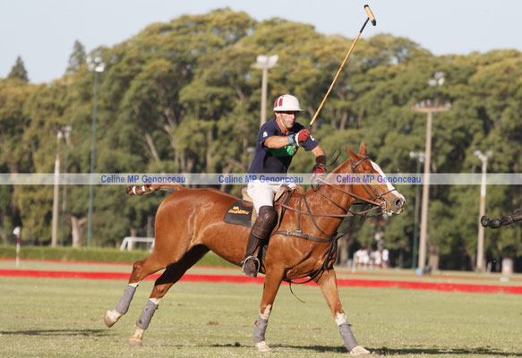 Polo Sport Argentina Photo518