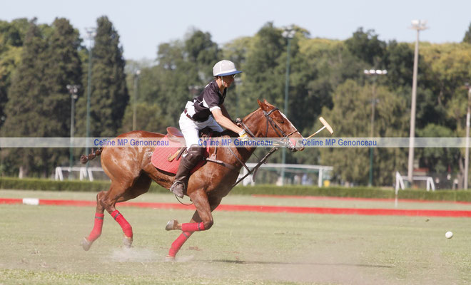 Polo Sport Argentina Photo480