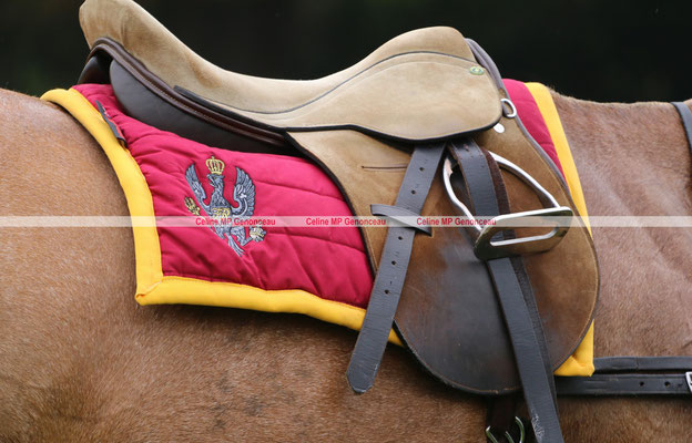 Polo Sport England Photo247