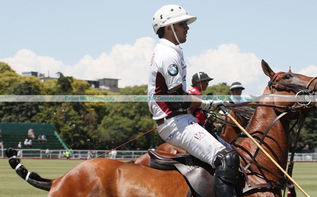 Polo Sport Argentina Photo179