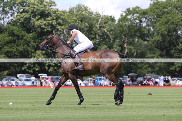 Polo Sport England Photo78