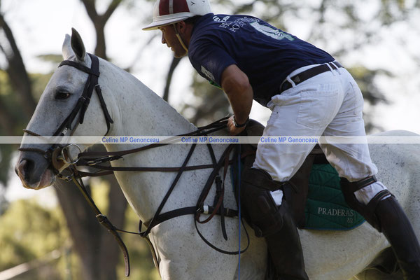 Polo Sport Argentina Photo490