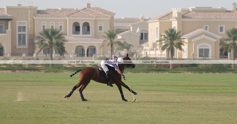 Polo Sport Dubai Photo173