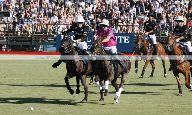 Polo Sport Argentina Photo234