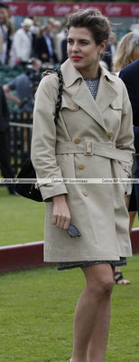 Polo Sport England Photo6