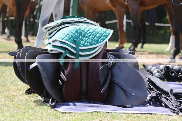 Polo Sport England Photo63