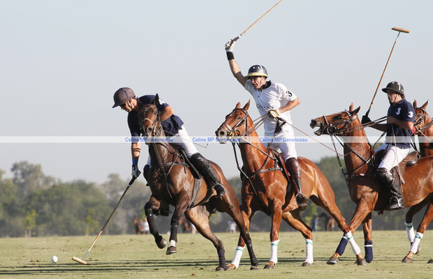 Polo Sport Argentina Photo284