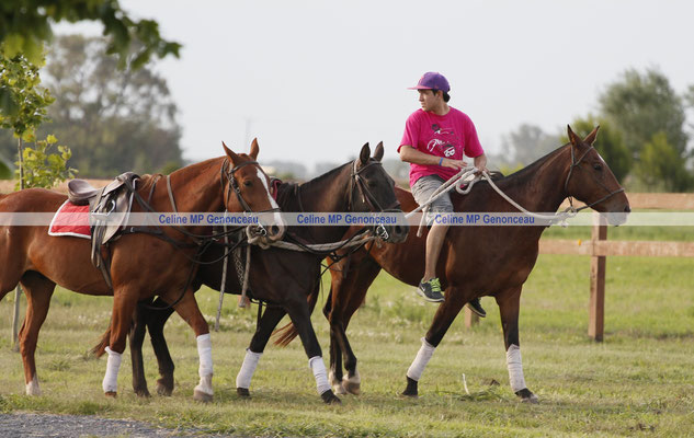 Polo Sport Argentina Photo385