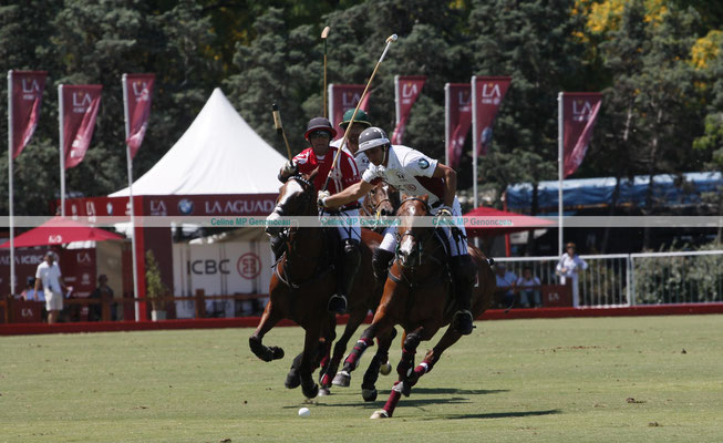 Polo Sport Argentina Photo193