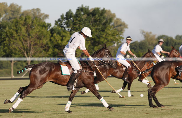 Polo Sport Argentina Photo300