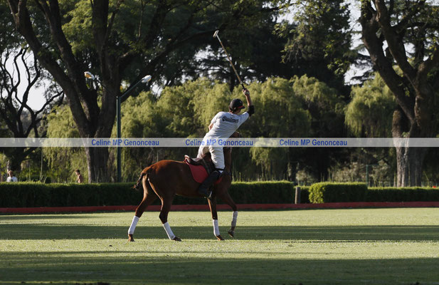 Polo Sport Argentina Photo563