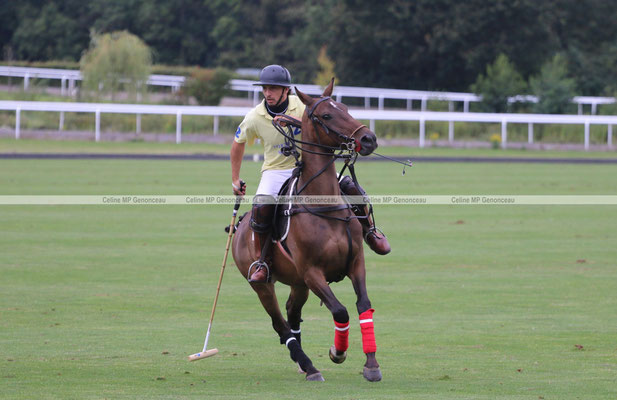 Polo Sport England Photo589