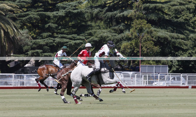 Polo Sport Argentina Photo190