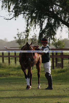Polo Sport Argentina Photo374