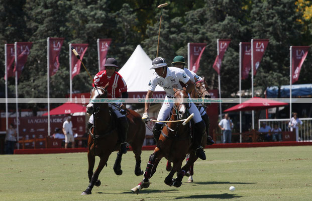 Polo Sport Argentina Photo194