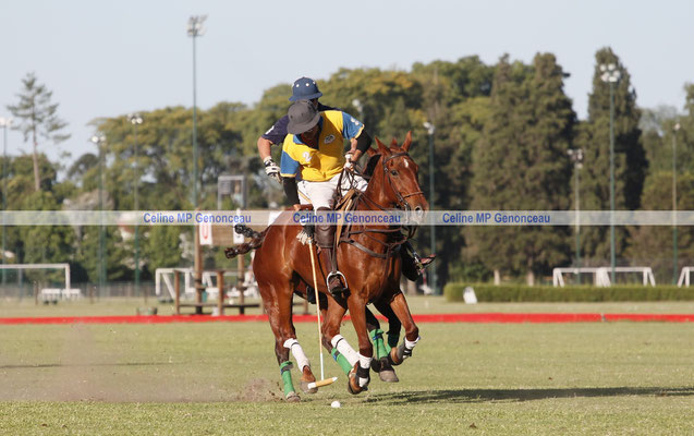 Polo Sport Argentina Photo519