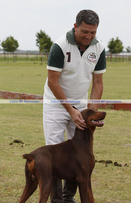 Polo Sport Argentina Photo434