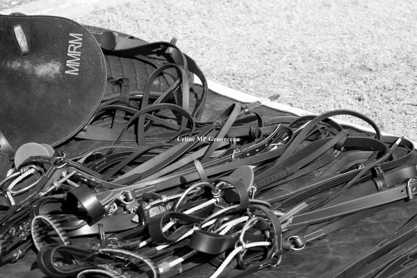 Polo Sport Dubai Photo16