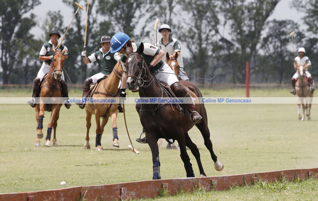 Polo Sport Argentina Photo422