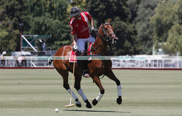 Polo Sport Argentina Photo184