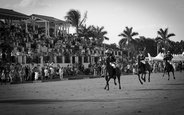 Polo Sport USA Photo11