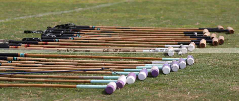 Polo Sport Dubai Photo115