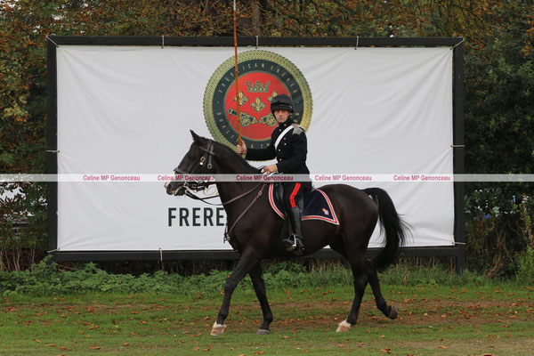 Polo Sport England Photo316