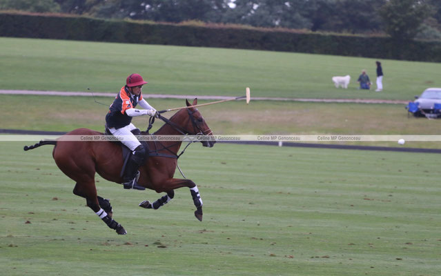Polo Sport England Photo601
