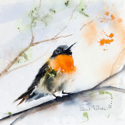 aquarelle d'oiseau