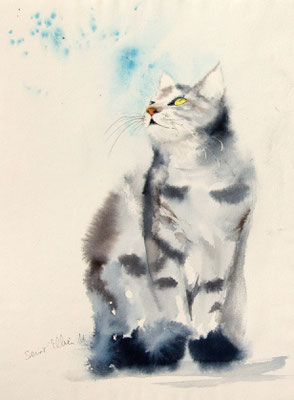 Aquarelle de chat 