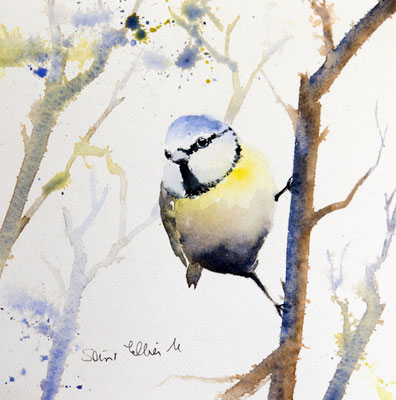 Titmouse watercolor painting